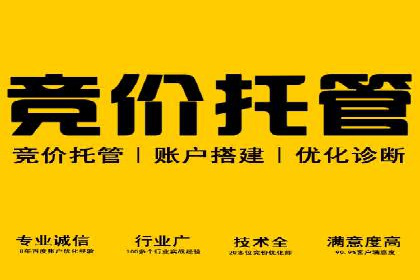 SEM优化实战：打造高效广告投放案例